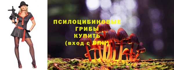 стаф Алзамай