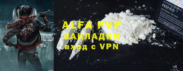 стаф Алзамай