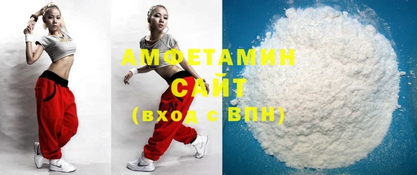 стаф Алзамай