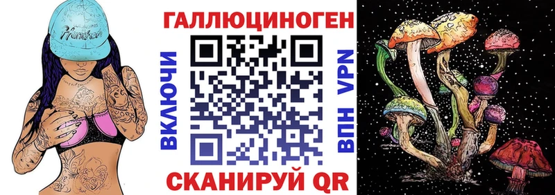 Псилоцибиновые грибы Cubensis  Ржев 