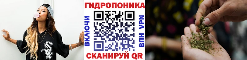 купить наркоту  Ржев  MEGA   Каннабис планчик 